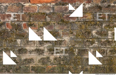Wall Bricks Dirty