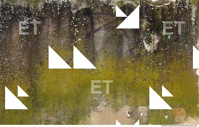 Wall Plaster Leaking