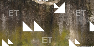 Wall Plaster Leaking