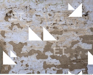 Walls Plaster Damaged