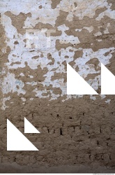 Walls Plaster Damaged