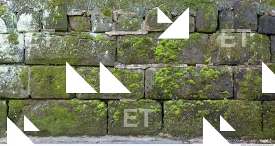 Overgrown Walls Stones