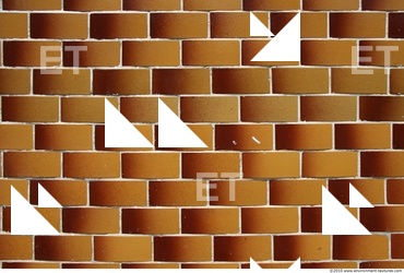 Photo Texture of Patterned Tiles