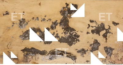 Walls Plaster Damaged