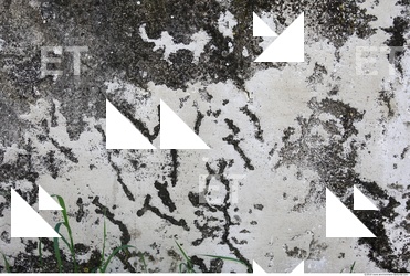 Walls Plaster Damaged