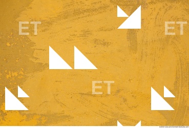 Wall Plaster Painted