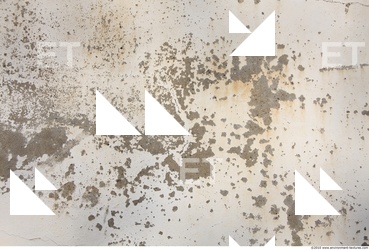 Walls Plaster Damaged