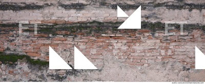 Wall Bricks Plastered