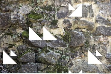 Overgrown Walls Stones