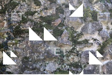 Overgrown Walls Stones