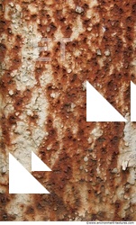 Metal Rust 0014