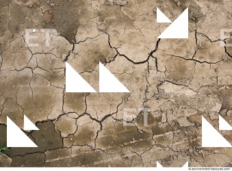 Soil Cracked 0001