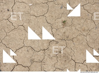 Soil Cracked 0003