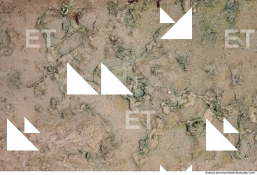 photo texture of soil mud