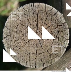 photo texture of wood end