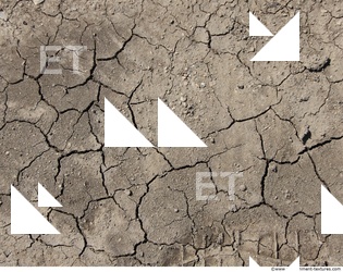 Cracked Soil
