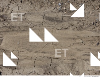 Cracked Soil