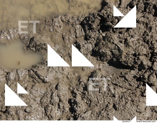 Mud Soil