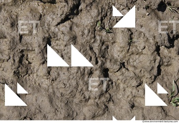 Mud Soil