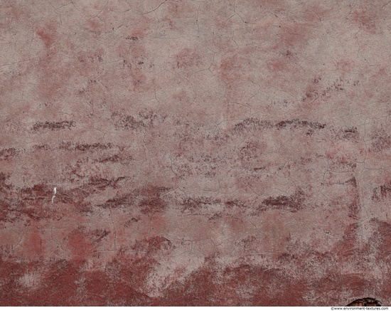 Wall Plaster Painted