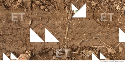 Soil Trace