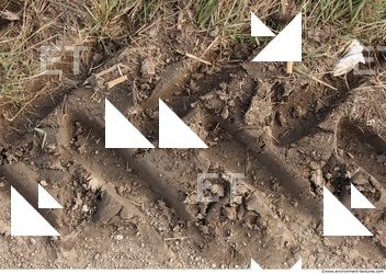 Soil Trace