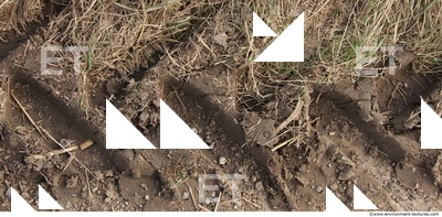 Soil Trace