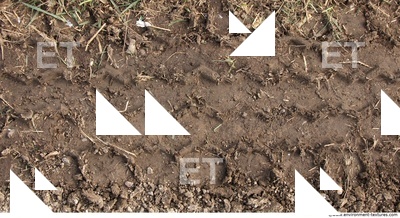 Soil Trace
