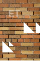 Wall Bricks Damaged