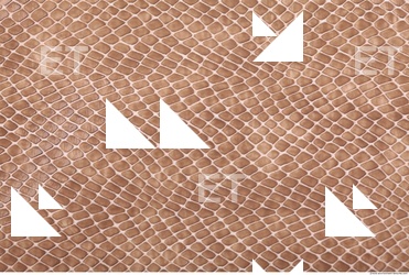 photo texture of leather