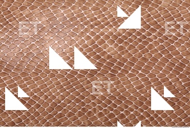 photo texture of leather