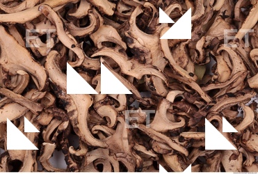 Dried Mushrooms 0002
