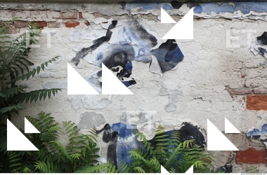 Walls Plaster Damaged