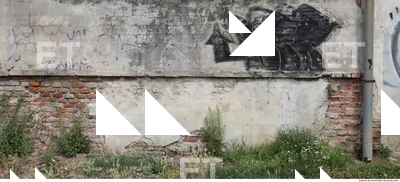 Walls Plaster Damaged