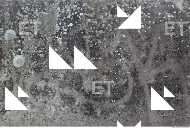 Photo Texture of Dirty Concrete 0002