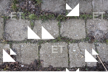 Photo Texture of Overgrown Floor