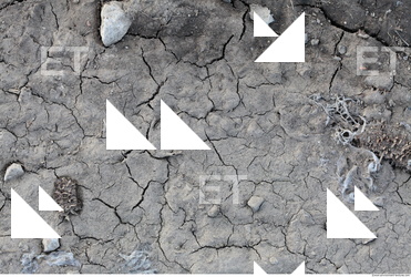 Cracked Soil