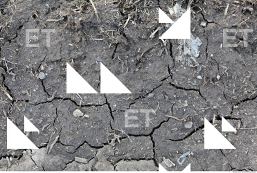 Cracked Soil