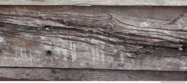 Decayed Wood