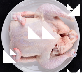 Chicken Meat