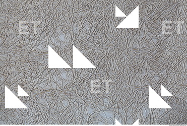 Wall Plaster Painted