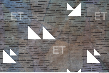 Camouflage Fabric