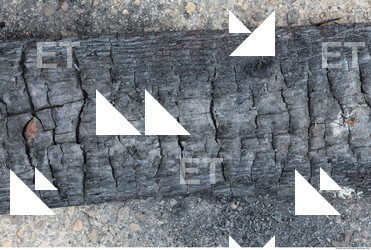 Burned Wood