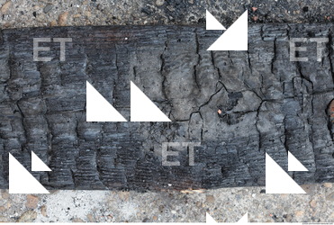 Burned Wood