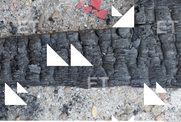 Burned Wood