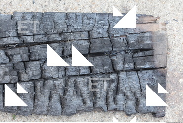 Burned Wood