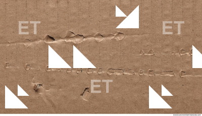 Damaged Cardboard