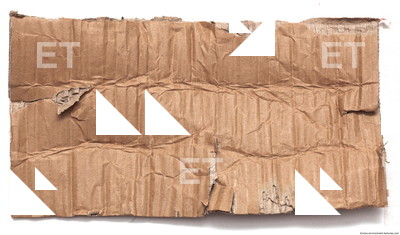 Damaged Cardboard