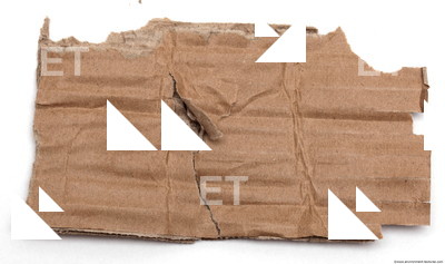 Damaged Cardboard