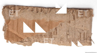 Damaged Cardboard